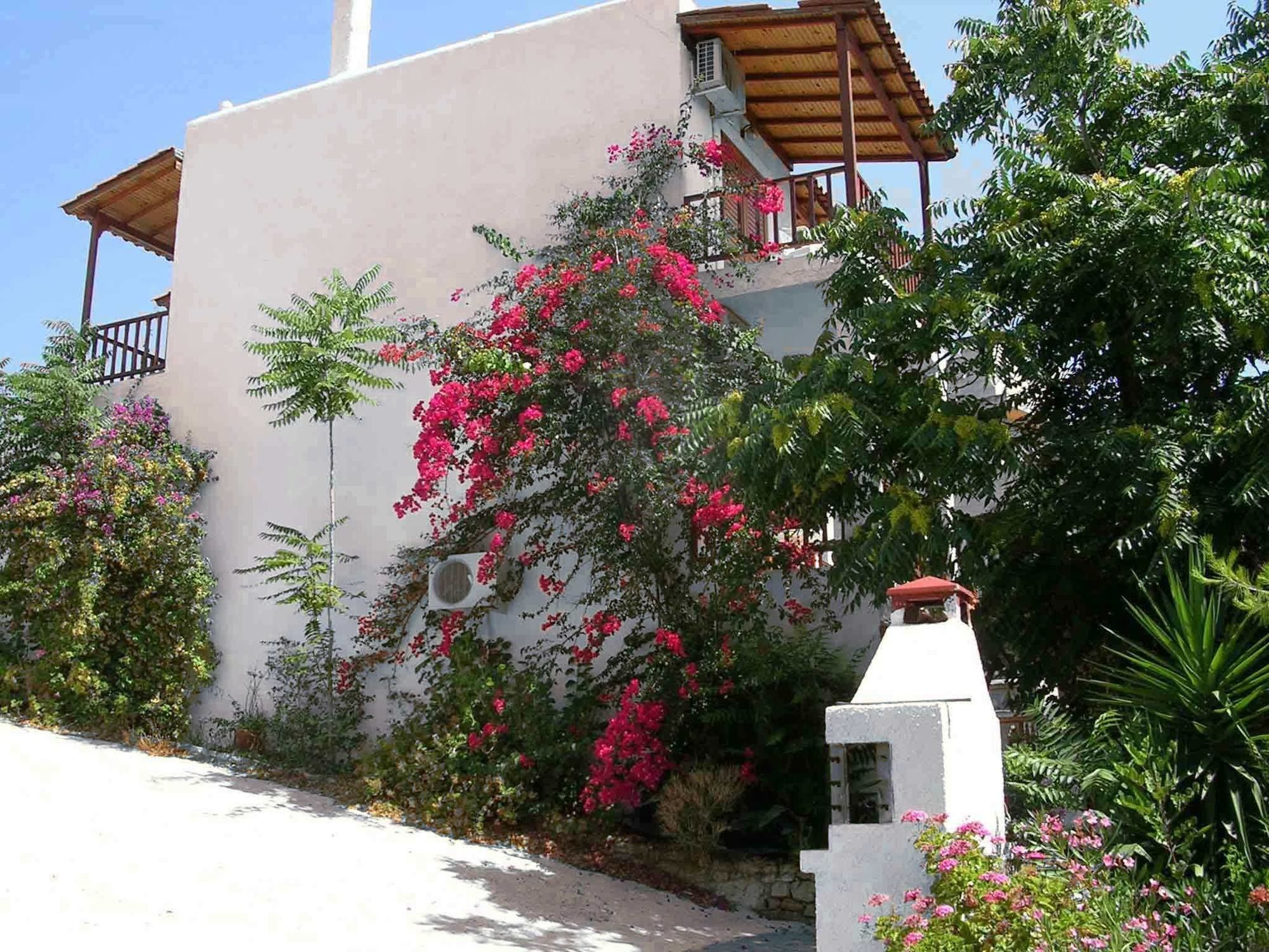 123 Soleil Studios Agia Marina  Luaran gambar